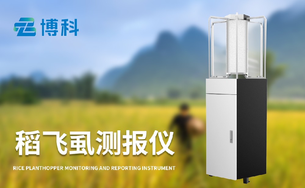 稻飛虱在線測(cè)報(bào)儀的使用提升水稻蟲(chóng)害治理能力